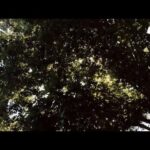 6pl1skynycg -injured Marine Experiences Journey of Spiritual Recovery - U-witness.com by Witness