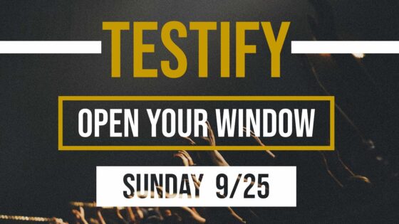 Tbh_yp54so0 -open Your Window | Testify - U-witness.com by Witness