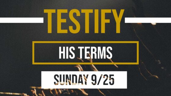 Zihwcow8pge -his Terms | Testify - U-witness.com by Witness