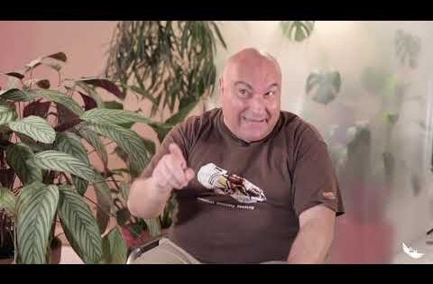 Rgppqmktqc8 -god Revealed His Reality to Me in an Amazing Way That Was Life-changing! the Jimmy Bedding Story - U-witness.com by Witness